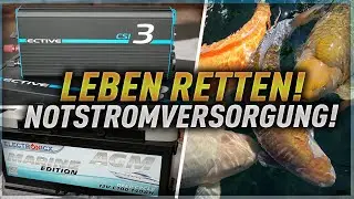 DIY NOTSTROMVERSORGUNG g&uuml;nstig und leicht selber bauen! So sichere ich meinen KOITEICH!