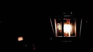 Night Ambience &bull; 30-Min Sleep Therapy &bull; Insect Symphony