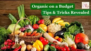 Budget Friendly Organic Living Tips to Save Money
