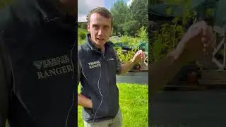 What goes on in our tree nursery?