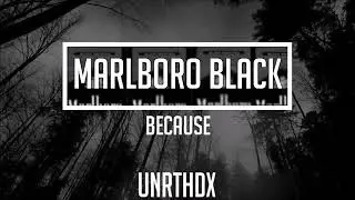 Because   Marlboro Black