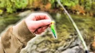 Twitching Jigs In December For Late Coho Salmon