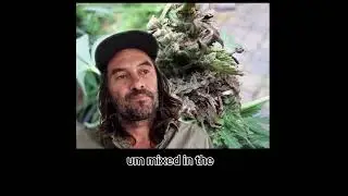 How to control fungal problems on cannabis outdoors at the end of season in South Africa