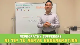 Neuropathy Sufferers, #1 Tip to Nerve Regeneration