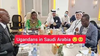 Does Saudi Arabia suspended 🇸🇦Ugandans 🇺🇬: Ekituufu kizuuse Kadama Wenna wuliriza Binno Bikulu nnyo