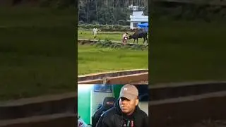 Try Not To Laugh Challenge 🤫 || Cow Ne Prank Kar Diya 🤣 || #shorts #funny #prank #comedy