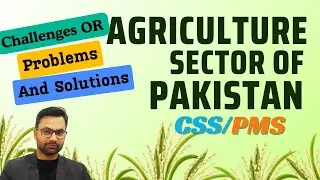 Agricultural Sector of Pakistan | Agriculture Problems or Challenges in Pakistan and Solutions