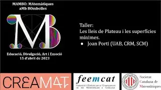 MAMBO. TALLER.  Les lleis de Plateau i les superf&iacute;cies m&iacute;nimes
