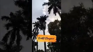 BHU Campus & Asia's Largest Library #bhu #bhucampus #shorts #shortvideo #shorts