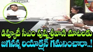 Deputy CM Pushpa Sreevani Emotional Speech | CM Jagan Distribution Of ROFR Pattas to Tribals
