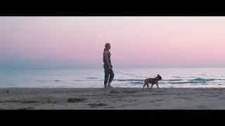 Французский бульдог Тайсон и море