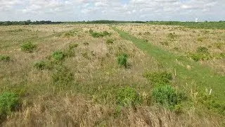 Understanding Prairie Ecology: Field Studies at the UH Coastal Center