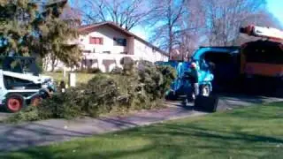 Minneapolis tree service (strom damage clean-up) .wmv