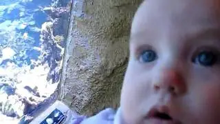 video - 20100616 - 001 - Abby at aquarium.AVI