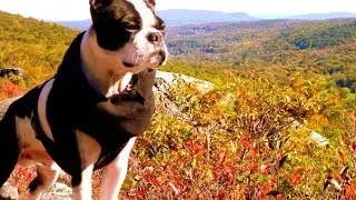 Wildernessrocks trailer for fun