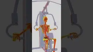 Unbelievable Bone Strength vs Steel!