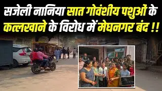 सजेली नानिया सात गोवंशीय पशुओं के कत्लखाने के विरोध में मेघनगर बंद !! #cblive