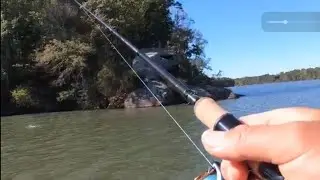Fall Bass Fishing - Dropshot is a Killer. Mtn. Island Lake.