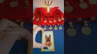 #tarot #tarotcigano #baralhocigano #mensagemdouniverso #mensagemdodia #tarothoje