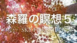 ＜森羅の瞑想５＞ ピアノ &映像 ウォン・ウィンツァン（2022/4/10 下北沢ハーフムーンホール）#瞑想音楽 #環境音楽 #ヒーリングミュージック #癒し #アンビエント #インプロヴィゼーション