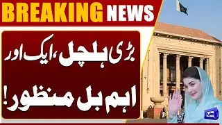 Punjab Assembly Standing Committee Approves Motor Vehicles Amendment Bill 2026 | Dunya News