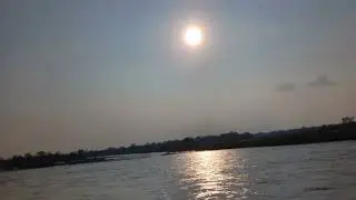 SaptaKoshi River cross the danger level | Flood at Koshi River