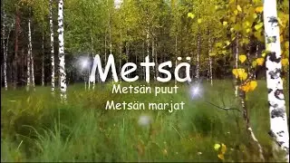 Metsän puut ja marjat🍂 Opetusvideo ympäristöoppi