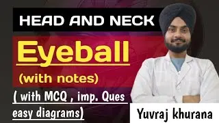 Eyeball | Anatomy| Physiology| Glucoma | Easy explanation| Medico paji