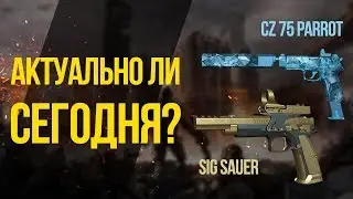 CZ 75 Czechmate Parrot И SIG Sauer P226C Что конкурентноспособно в наши дни?