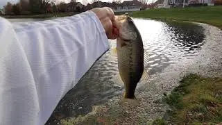 Midwest Late Fall Fishing Baits!!!!