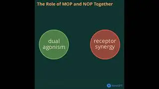 Dual NMR NOP MOP Agonism