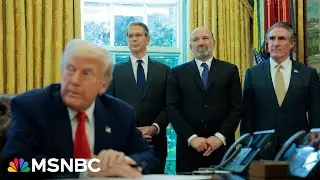 'A major hype cycle.' Stocks climb despite Trump tariffs squeezing U.S. businesses, consumers