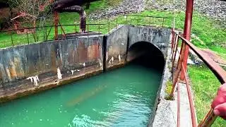 Lacu Vida din LuncaSprie Bihor