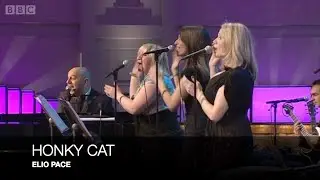 HONKY CAT - ELIO PACE (Live on BBC Radio 2&rsquo;s &lsquo;Weekend Wogan&rsquo; - Sunday, 28 February 2010)