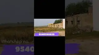 Noida airport ke pass property | bohot hi affordable plots | #realestate #jewar #noida