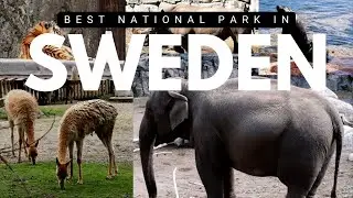 KOLM&Aring;DEN ZOO in Sweden(Part 2)(New Version)