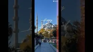 #turkey #turkeytravel #turkeytrip #visitturkey #istanbullife #istanbultrip #bluemosque #istanbul