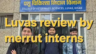 LUVAS review by Meerut interns #Vlog 