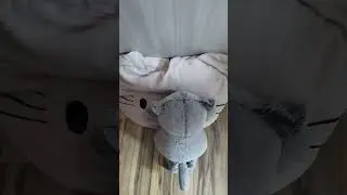Хехе))#басики