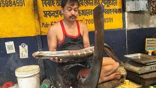 Why Chital Fish Cutting Techniques Are The Future of Sustainable Fishing