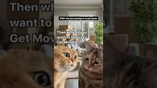 Home Moving: Save Your Furniture Cat Meme | Let&rsquo;s Get Moving