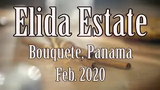 Elida Estate, Bouquete - Panama. Feb. 2020