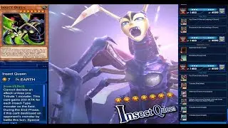 Yu-Gi-Oh! Duel Links PC Weevil summons insect queen