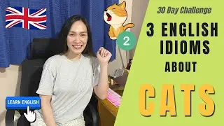 English Idioms about CATS | Learn English Idioms Easy | shishi vs english | shiperbass