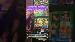 Random wilds#slot#slotmachine#slotwin#bonus#jackpot#casinowin#casino#gamble#gambling#jackpot#handpay