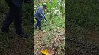 lempio ta sa farm