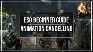 ESO Beginner Guide - Animation Cancelling