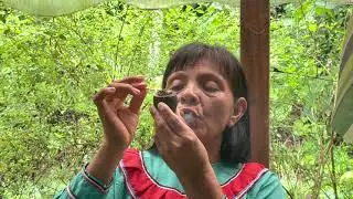Curandera Isabel (icaro bobinsana) Shipibo