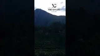 Little Adam&rsquo;s Peak Hike | Vibe Ceylon Tours | Ella, Sri Lanka Travel Guide