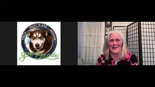 2025-11-19: Accountability Show with Lisa Michaels interviews gene Decode